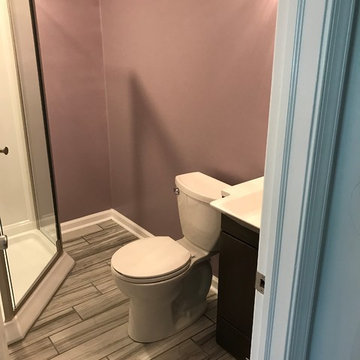 Fairless Hills Bathroom