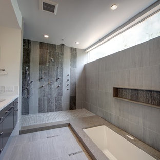 Gray Modern Bathroom Ideas Houzz