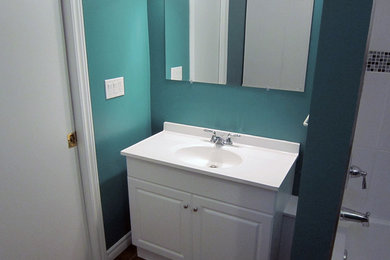 オタワにあるトラディショナルスタイルのおしゃれな浴室の写真