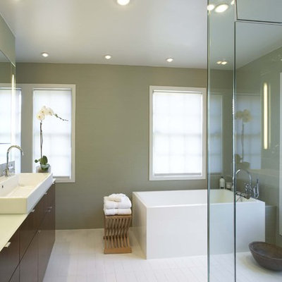 Mid-sized trendy master ceramic tile bathroom photo in New York with green walls, flat-panel cabinets, medium tone wood cabinets and a hinged shower door