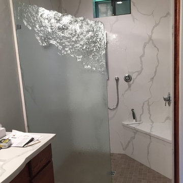 Frameless Chipped edge Shower Door