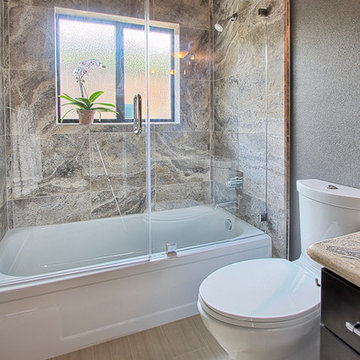 Frameless Glass Door and Panel over a bathtub