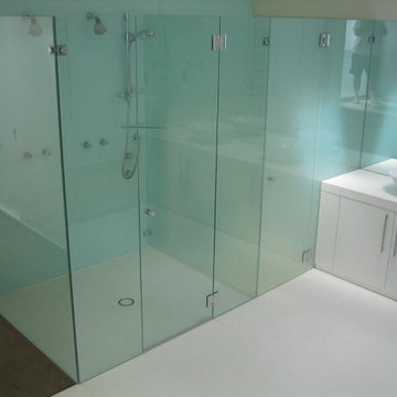 Frameless shower door and partition