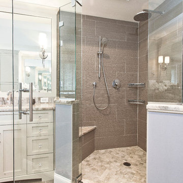 Frameless Shower Door