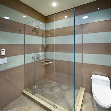 Frameless Shower Door