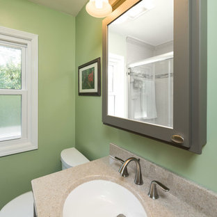 Small transitional 3/4 laminate floor and brown floor bathroom photo in Chicago with recessed-panel cabinets, gray cabinets, multicolored walls, an integrated sink and onyx countertops