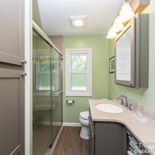 Small transitional 3/4 laminate floor and brown floor bathroom photo in Chicago with recessed-panel cabinets, gray cabinets, multicolored walls, an integrated sink and onyx countertops