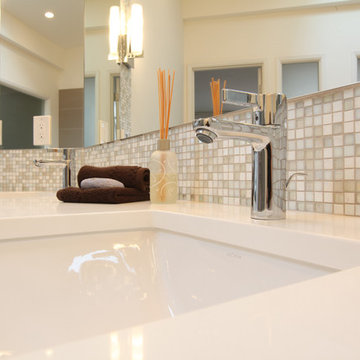 From Mid Century to Contemporary Master Bathroom
