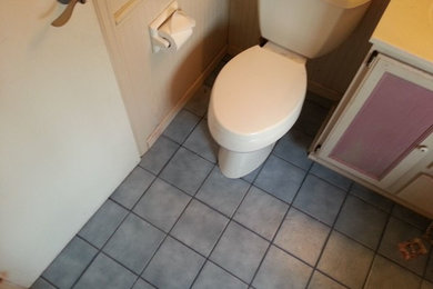 ミルウォーキーにあるお手頃価格の広いミッドセンチュリースタイルのおしゃれなマスターバスルーム (分離型トイレ、ベージュのタイル、セラミックタイル、セラミックタイルの床) の写真