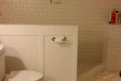 Inspiration for a transitional bathroom remodel in St Louis