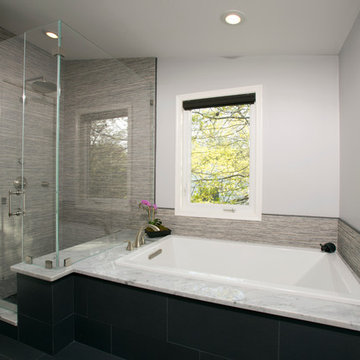 Glass enclosed shower and soaking tub