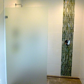 Glass Spray Shower Panel