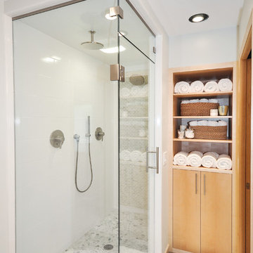 Golden Valley Master Bathroom Remodel