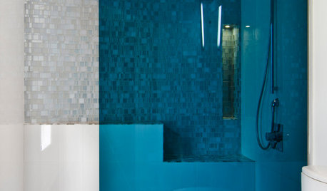 Modern Bathroom Essential: Know Your Options for Shower Glass