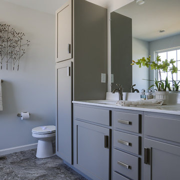 Gray Bathroom Cabinetry