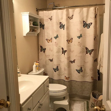 Guest Bathroom Before Photo