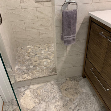 Guest Bathroom Expansion, Whitefish Bay WI