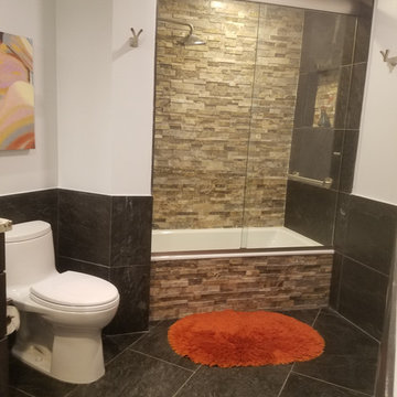 Guest Bathroom Full Remodel