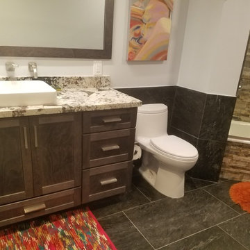 Guest Bathroom Full Remodel