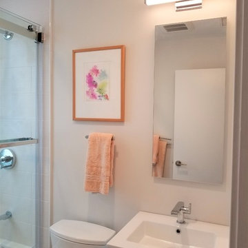 Guest Bathroom - Mamaroneck, NY