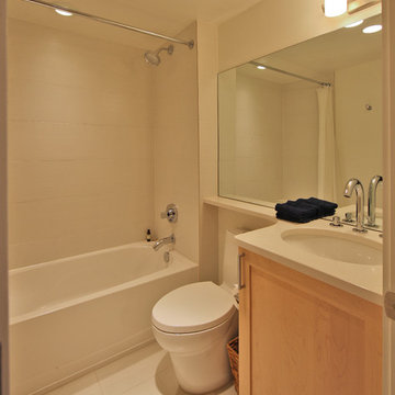 Guest Bathroom Remodel, Washington DC
