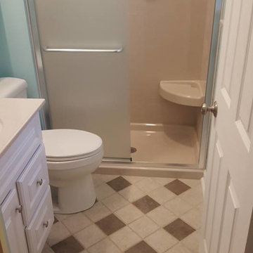 Guest Bathroom Upgrade - St. Louis, MO