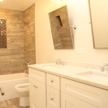 Gut Rehab Bathroom in Clarendon Hills, IL