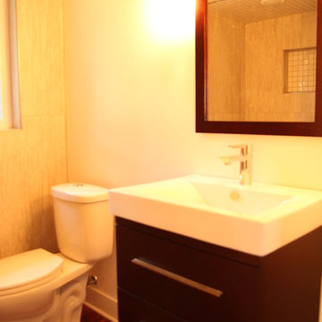Gut Rehab Guest Bathroom in Clarendon Hills, IL
