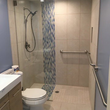Handicap Accessible Shower with Glass Shield in Port Washington, N.Y.