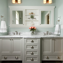 https://www.houzz.com/photos/historical-st-paul-renovation-traditional-bathroom-minneapolis-phvw-vp~20975499