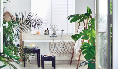 9 Potted Plants to Refresh Your Bathroom