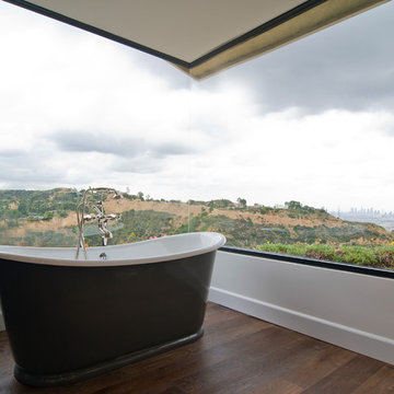 Hollywood Hills Transitional