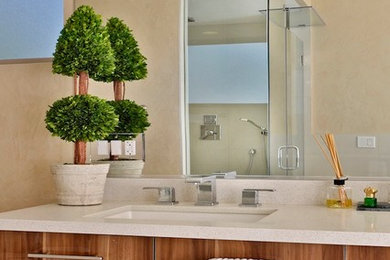 ロサンゼルスにあるコンテンポラリースタイルのおしゃれな浴室の写真