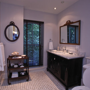 75 Beautiful Purple Bathroom With Black Cabinets Pictures Ideas November 2020 Houzz