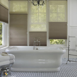 https://www.houzz.com/hznb/photos/honeycomb-shades-bathroom-traditional-bathroom-dallas-phvw-vp~623204