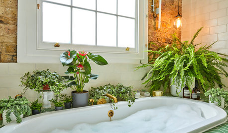 20 Interiors That Wow With Indoor Plants