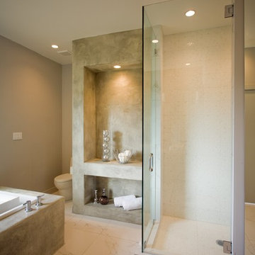 Infiinity Tub Oasis - Bath Crashers
