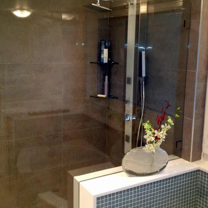Frameless Shower Pony Wall Photos & Ideas Houzz