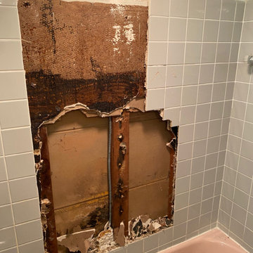 JOIST REPAIR AND TUB TILE SURROUND REPLACEMENT/INSTALL