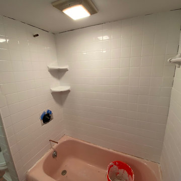 JOIST REPAIR AND TUB TILE SURROUND REPLACEMENT/INSTALL