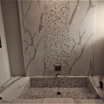 Ladera Heights Guest Bathroom