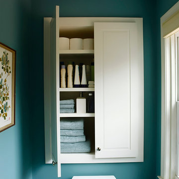 Lafayette Hill Bathroom — Pastel Colors and Brushed Nickel