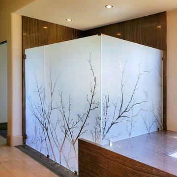 Large etched glass shower door