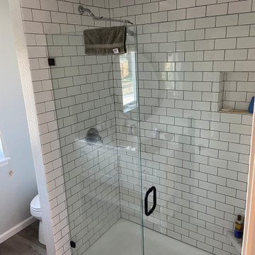 Leal residence master bath shower