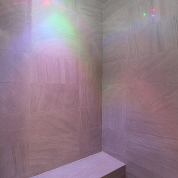 LED master shower