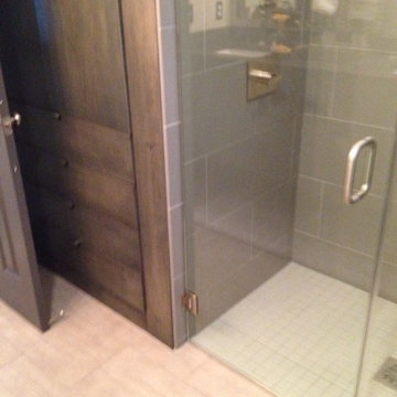 Level entry shower