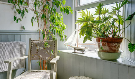 10 Ways to Introduce Houseplants into Your Bathroom