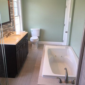 Living/Study/Bath Design/Renovation