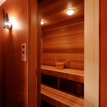 Lower level bathroom features a sauna