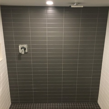 Lower-level bathroom